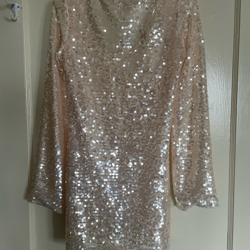 Sparkling Sequin Dress